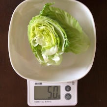 水菜とレタスのサラダ 3