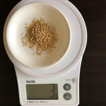 水菜とレタスのサラダ 6