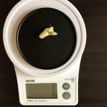 水菜とレタスのサラダ 7