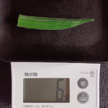 オクラ納豆キムチ 2