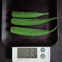 オクラとトマトのサラダ 2