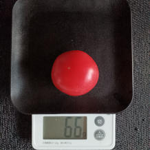 オクラとトマトのサラダ 3