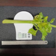 セロリのスティックサラダ 2