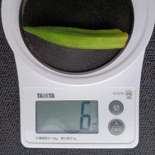 オクラ納豆豆腐 2