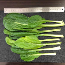 小松菜とカニカマの和え物 3