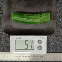 トマトときゅうりのサラダ 3