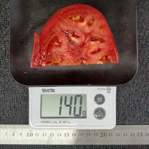 トマトと玉ねぎのサラダ 2