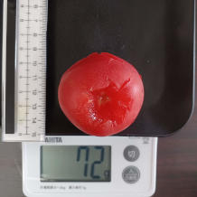 トマトと大葉のサラダ 2