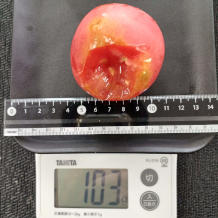 トマトのネギだれ 2