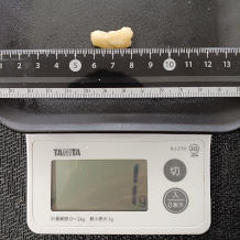 トマトのネギだれ 6