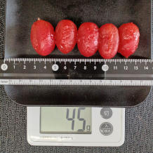 トマトの蜂蜜漬け 2