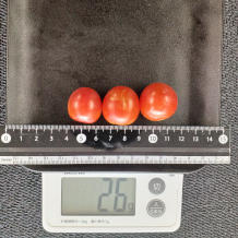 ブロッコリーとトマトのサラダ 3