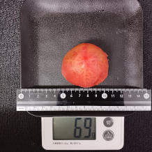 トマトめんつゆ漬け 2