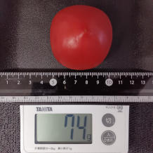 トマト1個 74g