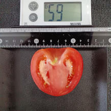 トマト 65g