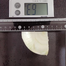 玉ねぎ 63g