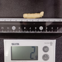 おろしにんにく 2g