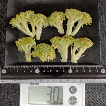 ブロッコリー 30g