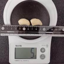 にんにく 5g