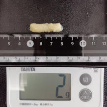 おろしにんにく 2g