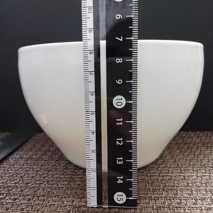 盛付けに使用した浅型スープボウル