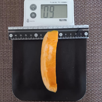 かぼちゃ(長さ13.5cm・加熱前) 60g