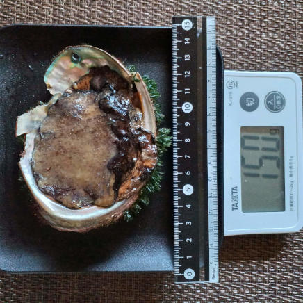貝殻付きあわび 150g