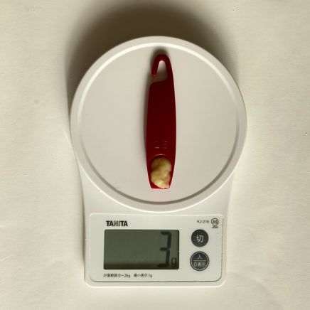 にんにくチューブ 3g