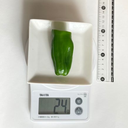 ピーマン 24g