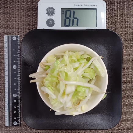 キャベツともやしの野菜炒め 48g