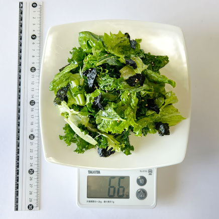 1人前のケールとリーフレタスのサラダ 66g