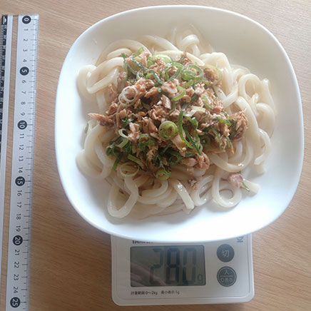 1杯分のツナうどん 280g