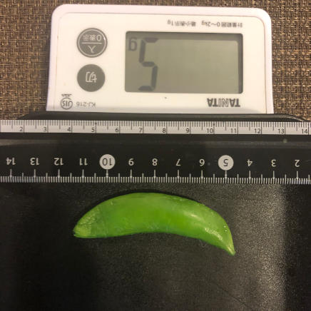 ひとさや(小)のスナップえんどうの塩ゆで 5g