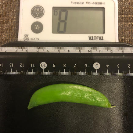 ひとさや(中)のスナップえんどうの塩ゆで 8g