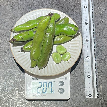 3人前の焼きそら豆 207g