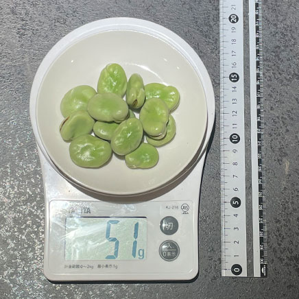 小皿1皿分のそら豆の塩茹で 51g