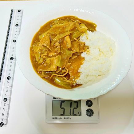 1人前のキャベツカレー 512g