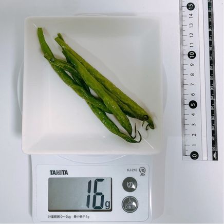 1人前のいんげんの素揚げ 16g