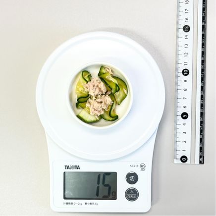 ココット1杯分のズッキーニとツナのサラダ 15g