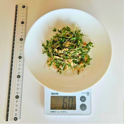 大皿・60gのスプラウトサラダ