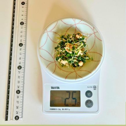 小皿一皿分のスプラウトサラダ