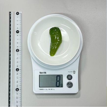 半個分のピーマンの素揚げ