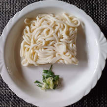 冷かけうどん1杯分の麺とネギ