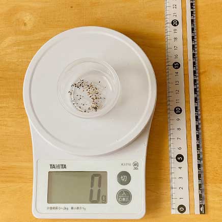 グラタン皿1皿分のかぼちゃと豆腐のグラタンに使ったこしょう