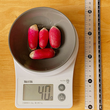 はつか大根の味噌汁1人前に使ったはつか大根4個