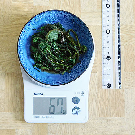 小皿1皿・1人前のこごみの油炒め