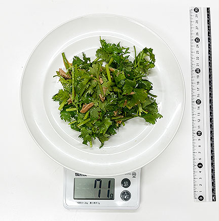 中皿1皿分のパクチーサラダ