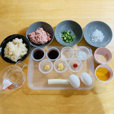 大皿1皿分の麻婆天津飯の材料(ご飯、卵、小ネギ、おろしにんにく、おろし生姜、豚ひき肉、長ネギ、ごま油、料理酒、砂糖、醤油、オイスターソース、顆粒中華だし、水、豆板醤、片栗粉)