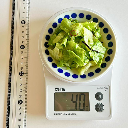 小皿1皿分のレタスの浅漬け