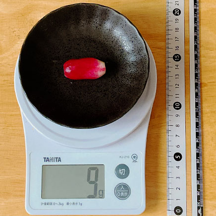 1個分のはつか大根の漬物